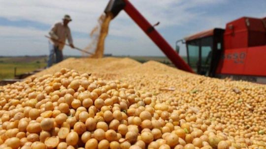 «El productor que siga especulando con devaluaciones o intervenciones del gobierno va a fracasar»