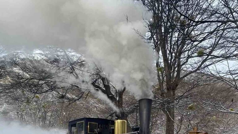 Cuánto sale viajar en el Tren del Fin del Mundo para conocer Ushuaia en enero 2025
