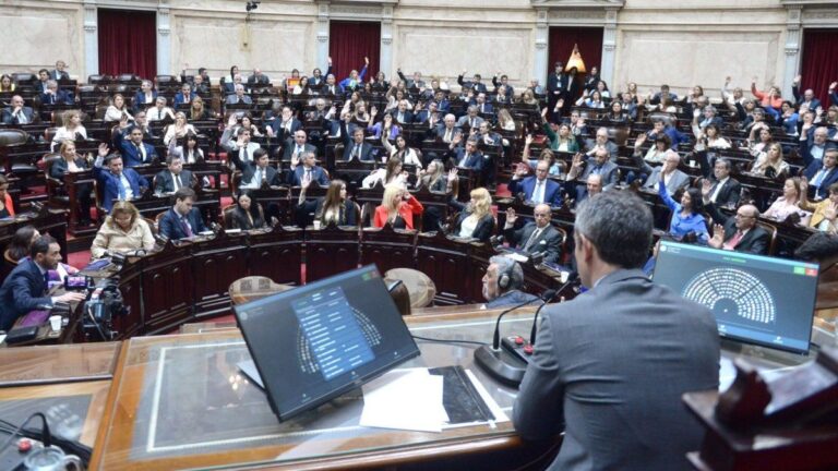 Diputados dio media sanción a la suspensión de las PASO
