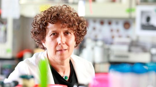 Andrea Gamarnik, la tía de Pablo Grillo, criticó a Patricia Bullrich