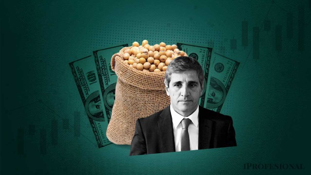 Llueven dólares de la soja pero el mercado anticipa un bajón en el arranque del segundo semestre