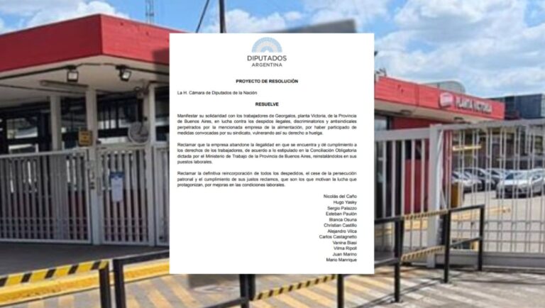 Diputados de distintos bloques se pronuncian en apoyo a los despedidos de Georgalos