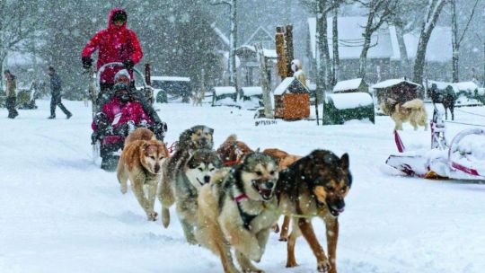 Argentina: donde hacer snowboard, trekking con raquetas y más actividades de nieve