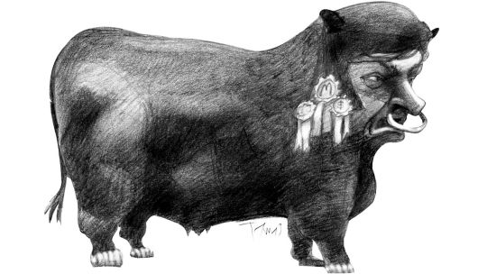 Todo fue casta, nada más