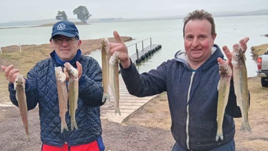 Buen pique de pejerrey en laguna Los Chilenos