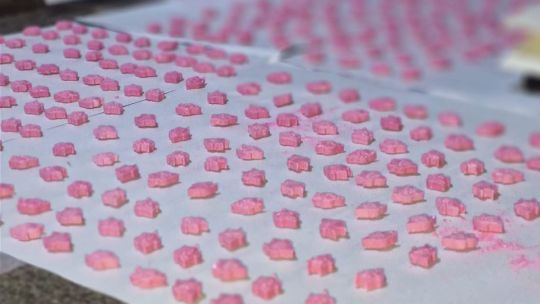 Avellaneda: cerraron un laboratorio clandestino de drogas sintéticas que producía casi 14 mil pastillas de éxtasis