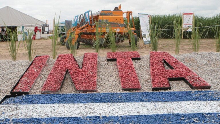 El Gobierno eliminó la Dirección Nacional del INTA