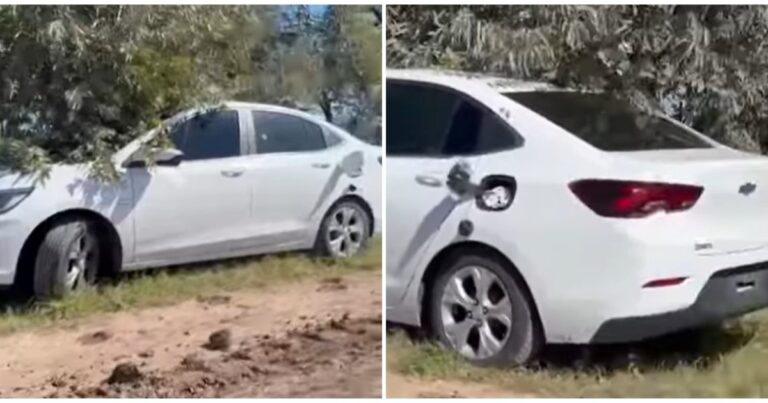 Identificaron a la pareja muerta a balazos en un auto en San Antonio de Areco