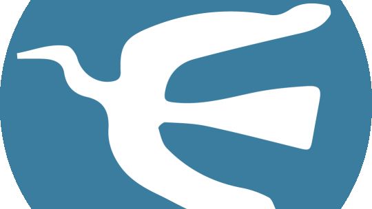 Encuentran muerto de un disparo a un excomisario de la PFA