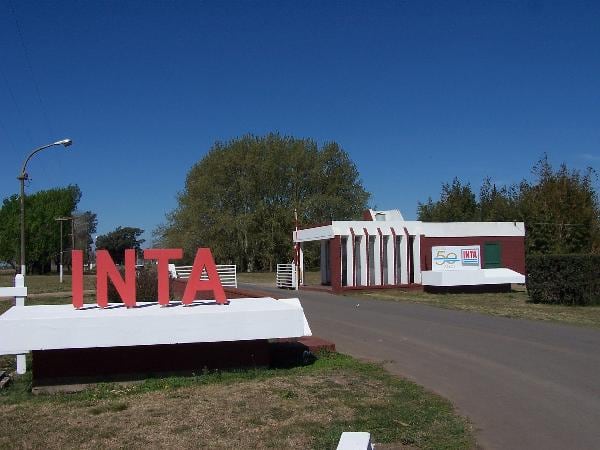 Satisfacción de los gremios estatales y silencio oficial tras la marcha atrás de la reforma del INTA y otros organismos