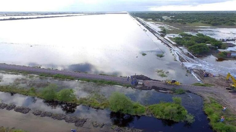 Declaran la emergencia agropecuaria en Buenos Aires y San Juan por inundaciones, granizo y enfermedades