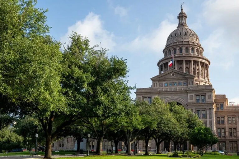El Senado de Texas aprobó una ley para limitar el acceso a píldoras abortivas