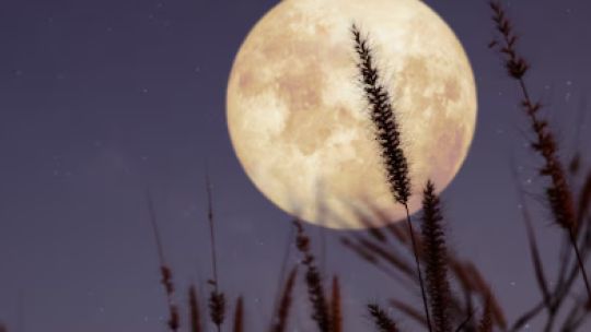 Luna llena del Cazador: a qué hora se podrá ver hoy y cómo aprovechar la superluna de octubre