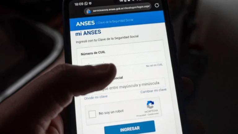 El bono que ANSES otorgará en enero 2026: a quiénes va dirigido