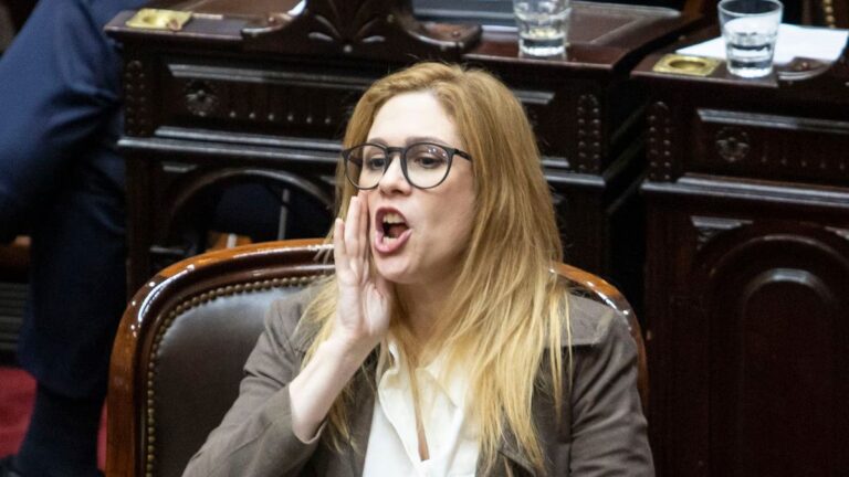 Lilia Lemoine se sumó al cruce entre Petri y Villarruel y volvió a dejar al desnudo su gordofobia