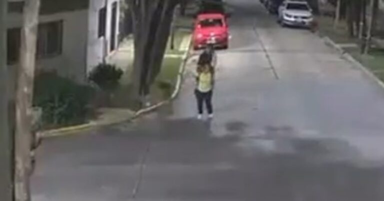 Vicente López: agredió a una mujer por la espalda con una patada karateca para robarle