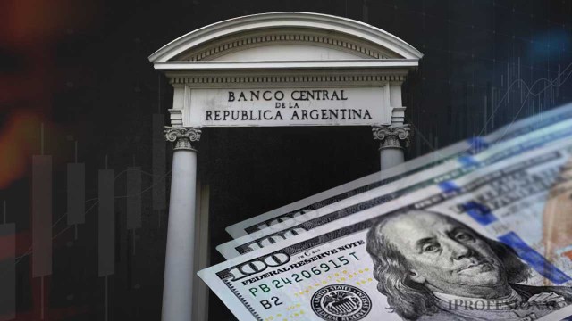 Gráfico de la evolución del tipo de cambio y la inflación según el REM del BCRA